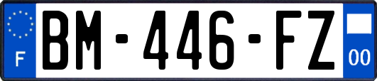 BM-446-FZ