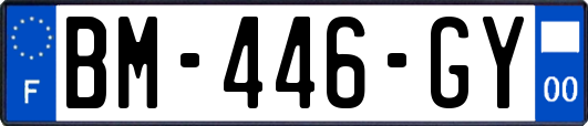 BM-446-GY