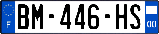 BM-446-HS