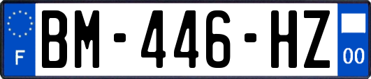 BM-446-HZ