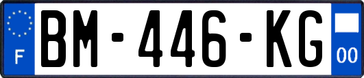 BM-446-KG