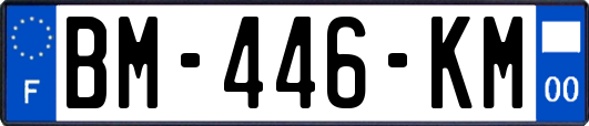 BM-446-KM