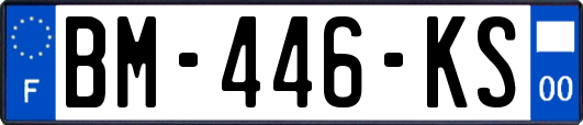 BM-446-KS