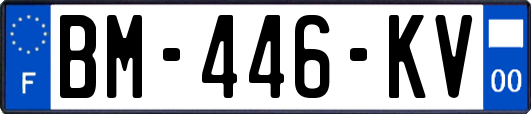 BM-446-KV