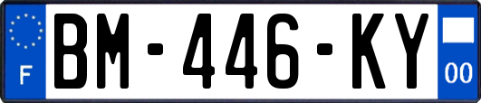 BM-446-KY