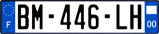 BM-446-LH