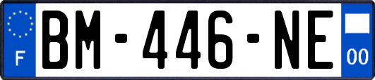 BM-446-NE