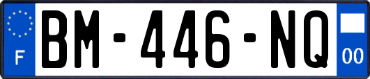 BM-446-NQ