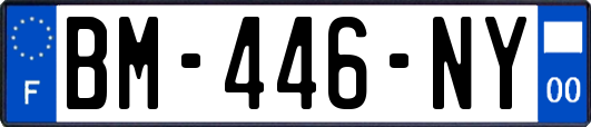 BM-446-NY