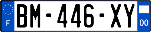 BM-446-XY