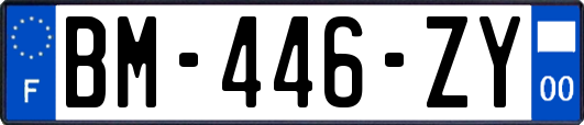 BM-446-ZY