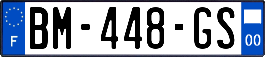 BM-448-GS