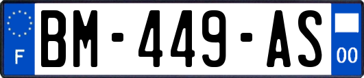 BM-449-AS