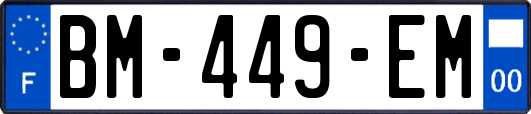 BM-449-EM