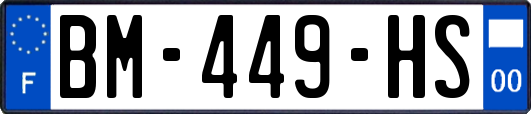 BM-449-HS
