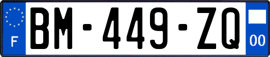 BM-449-ZQ