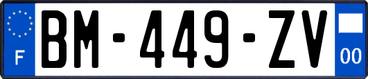 BM-449-ZV