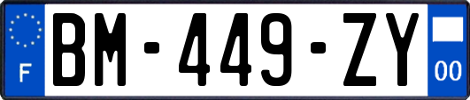 BM-449-ZY