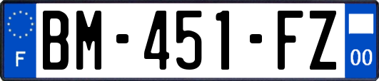 BM-451-FZ