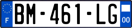 BM-461-LG