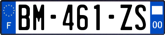 BM-461-ZS