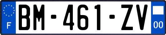 BM-461-ZV