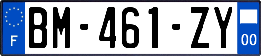 BM-461-ZY