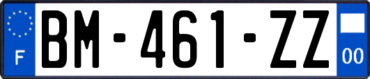 BM-461-ZZ