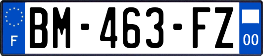 BM-463-FZ