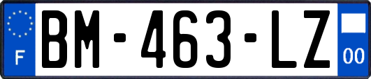 BM-463-LZ