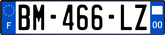 BM-466-LZ