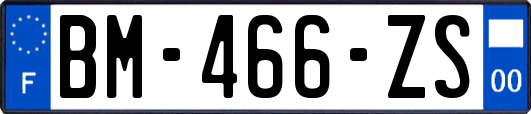 BM-466-ZS