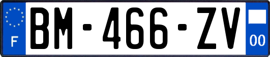 BM-466-ZV