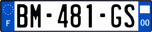 BM-481-GS