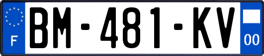 BM-481-KV