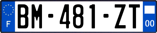 BM-481-ZT