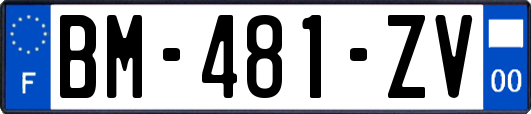 BM-481-ZV