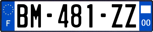 BM-481-ZZ