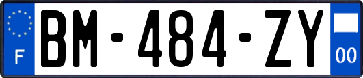 BM-484-ZY