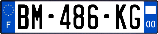 BM-486-KG