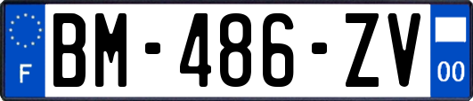 BM-486-ZV