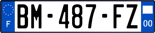 BM-487-FZ