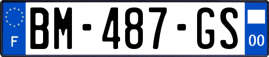 BM-487-GS