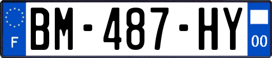 BM-487-HY