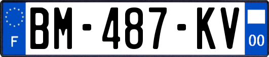 BM-487-KV