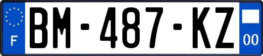 BM-487-KZ