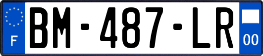 BM-487-LR