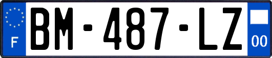 BM-487-LZ