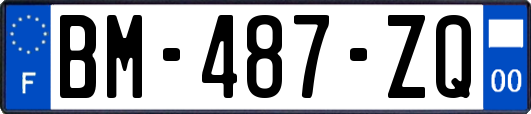 BM-487-ZQ