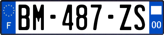 BM-487-ZS